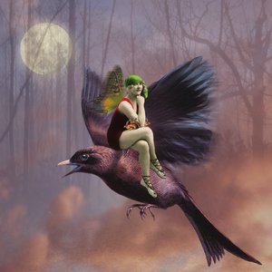 Volo, 2014